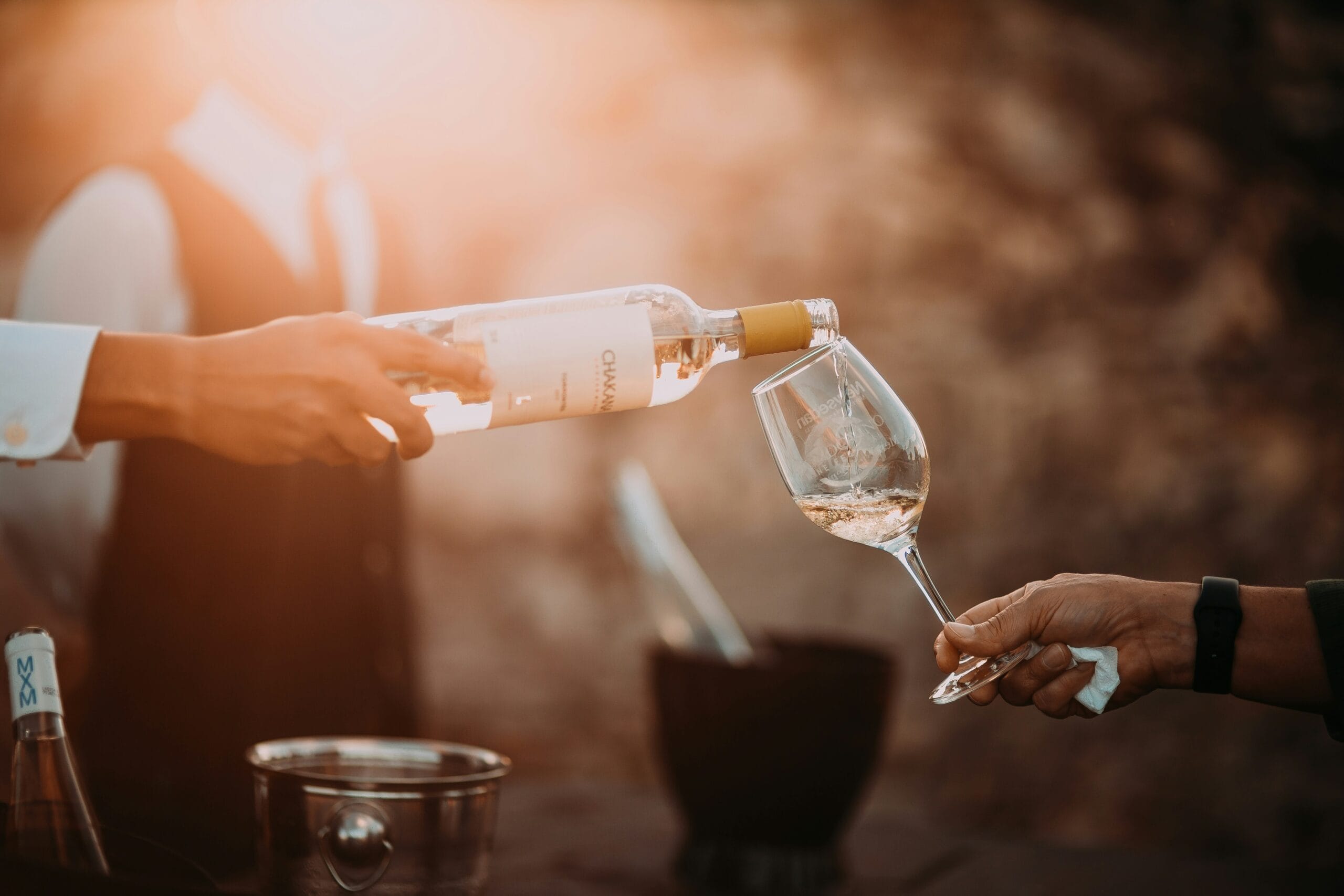 Rotas do Vinho: confira seis opções de vinícolas de SP para curtir durante as férias