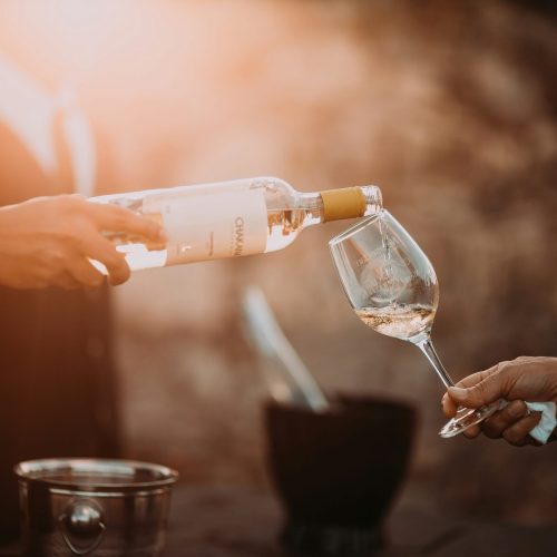 Rotas do Vinho: confira seis opções de vinícolas de SP para curtir durante as férias